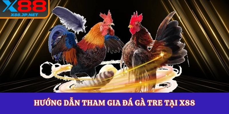 Hướng dẫn tham gia đá gà tre tại X88