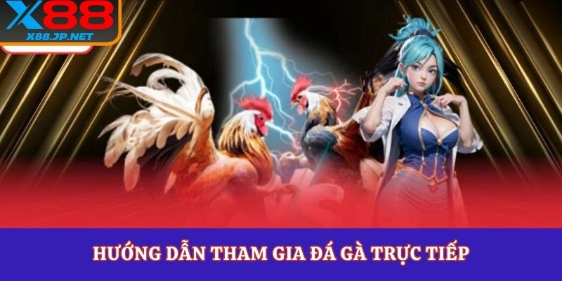 Hướng dẫn tham gia đá gà trực tiếp